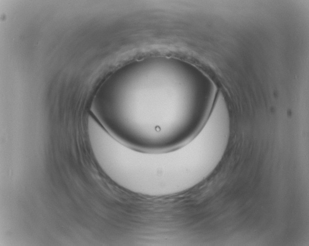 X0000060811492200511241922