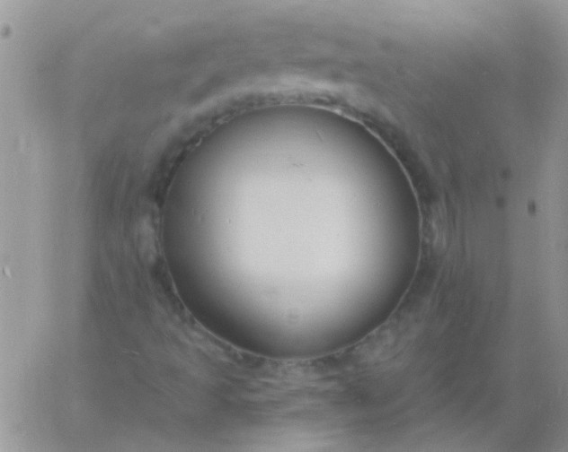 X0000060811493200511241922