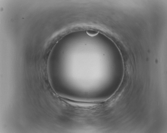 X0000060811494200511241922