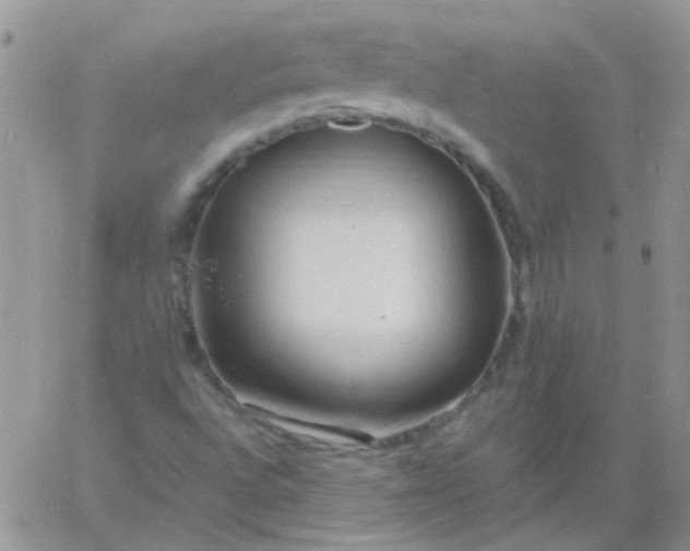 X0000060811496200511241922