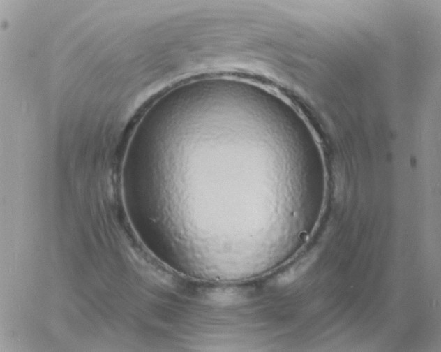 X0000060811497200511241922