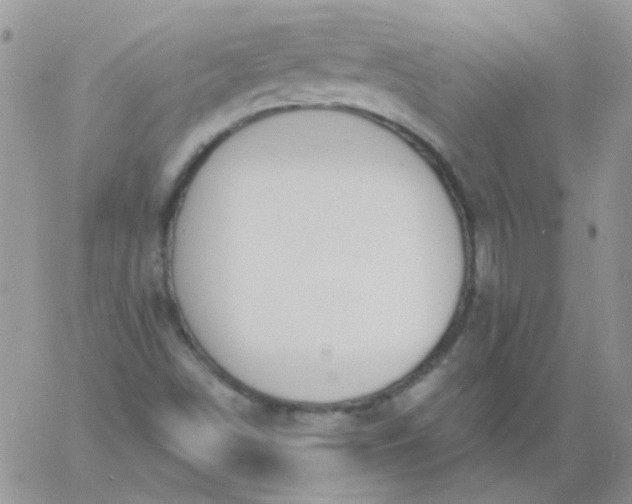 X0000060811498200511241922