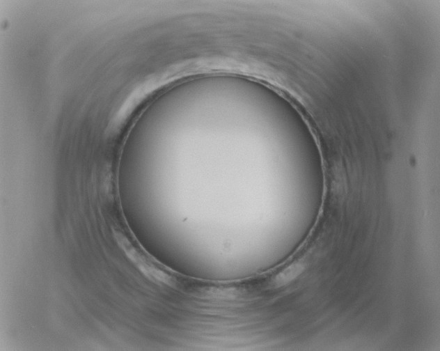 X0000060811499200511241922