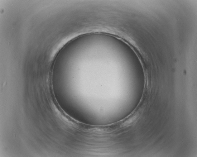 X0000060811500200511241922