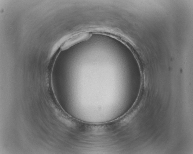 X0000060811501200511241922