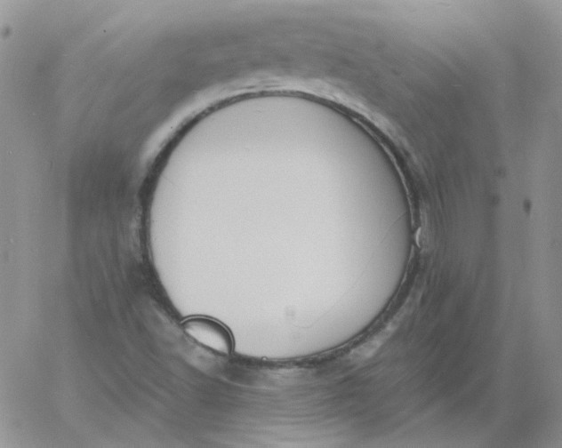 X0000060811502200511241922