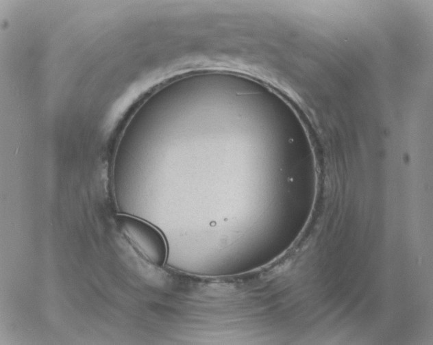 X0000060811503200511241922