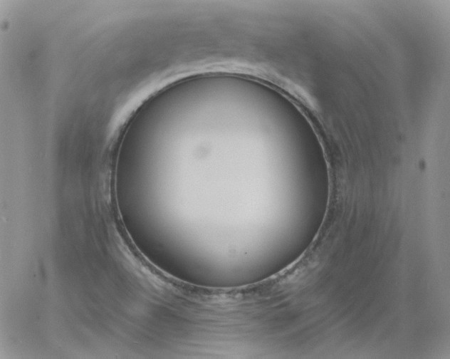 X0000060811504200511241922