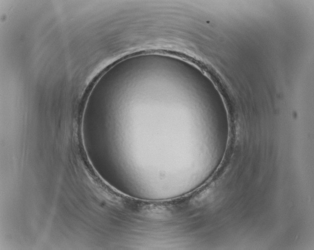 X0000060811505200511241922