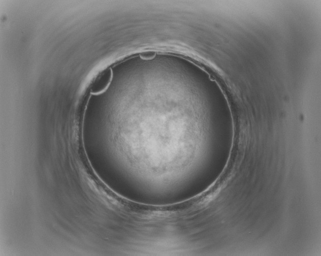 X0000060811506200511241922