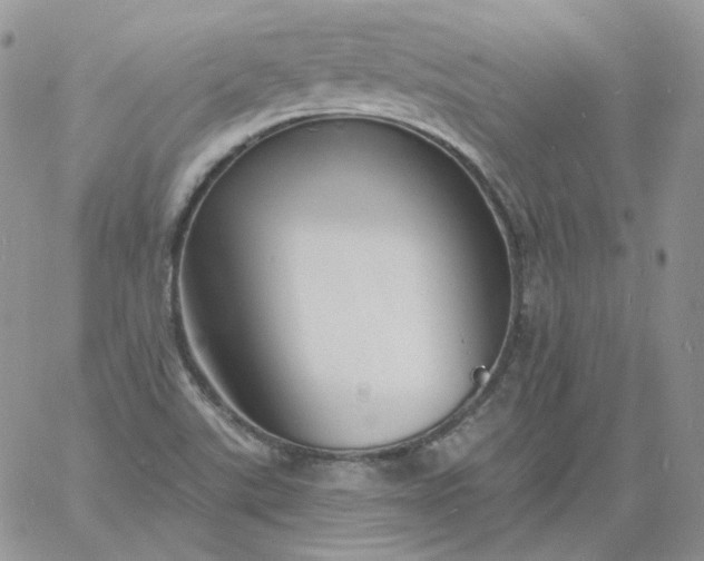 X0000060811507200511241922