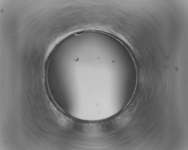 X0000060811508200511241922