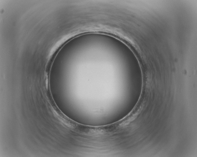 X0000060811509200511241922