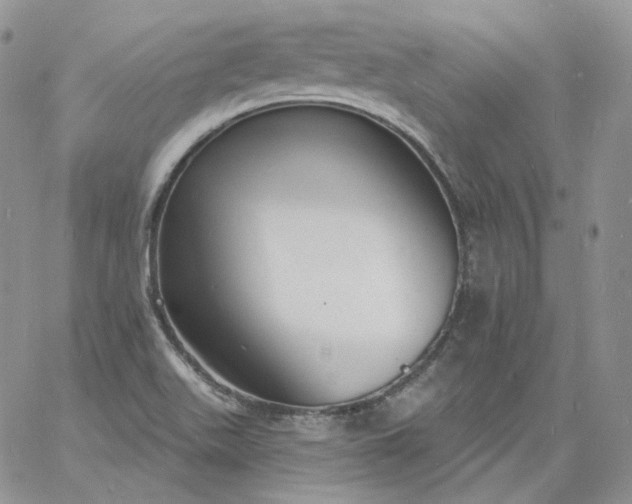 X0000060811511200511241922