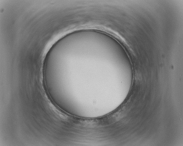 X0000060811512200511241922