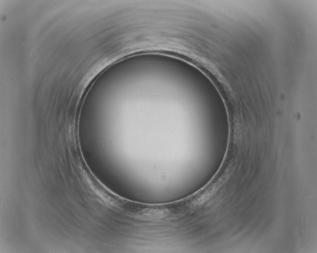 X0000060811513200511241922