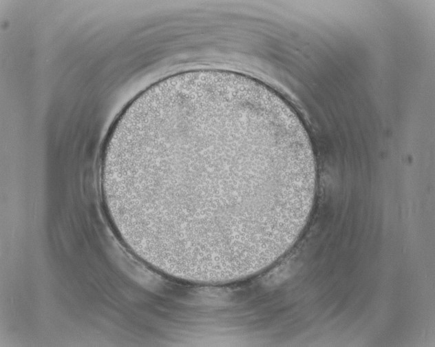 X0000060811514200511241922