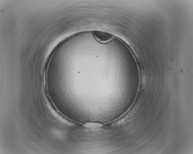 X0000060811515200511241922