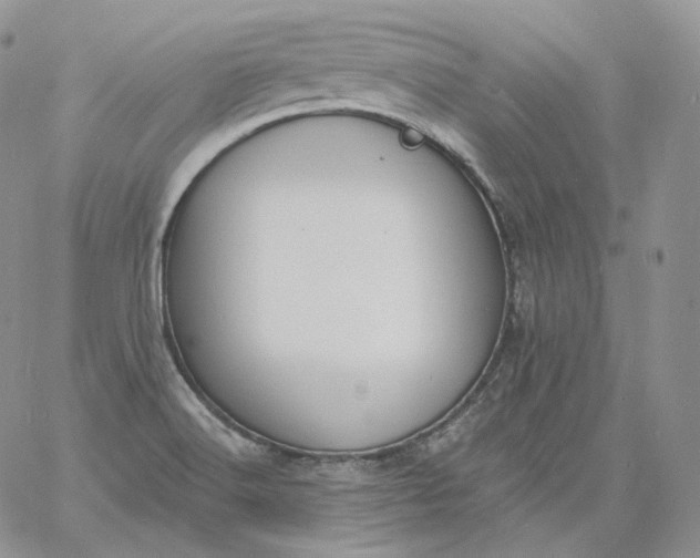 X0000060811516200511241922