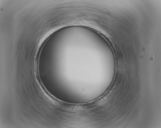 X0000060811517200511241922