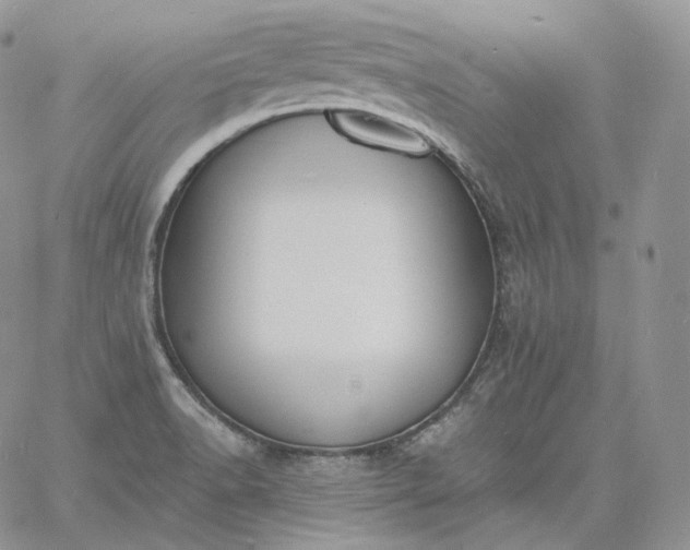 X0000060811518200511241922