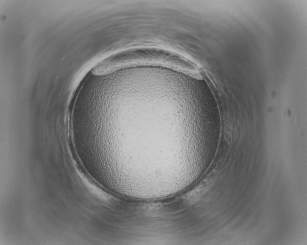 X0000060811519200511241922