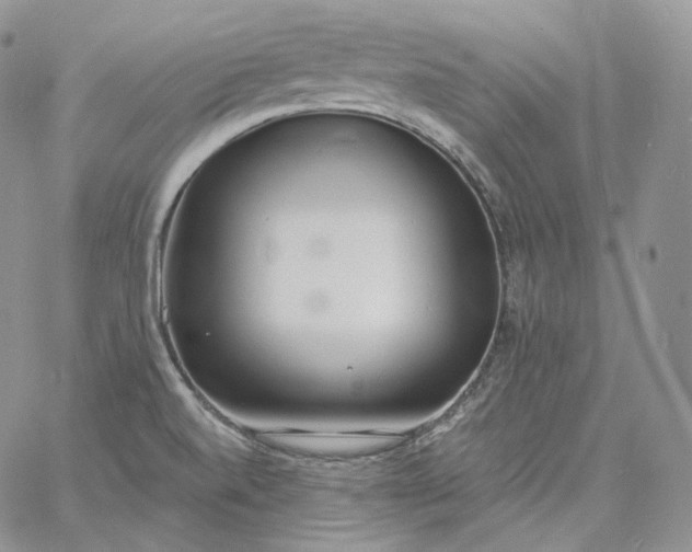 X0000060811520200511241922