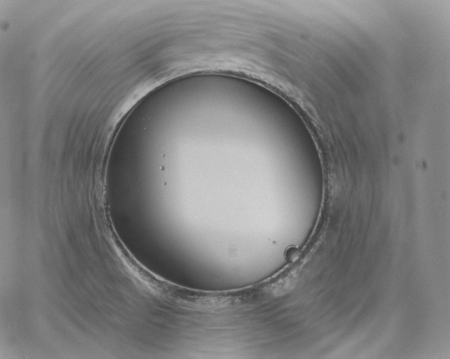 X0000060811521200511241922