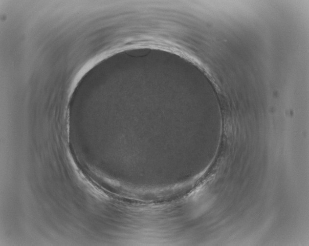 X0000060811522200511241923