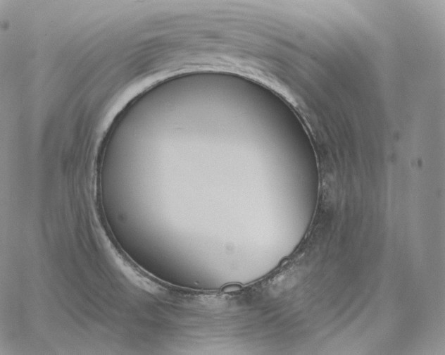 X0000060811523200511241923