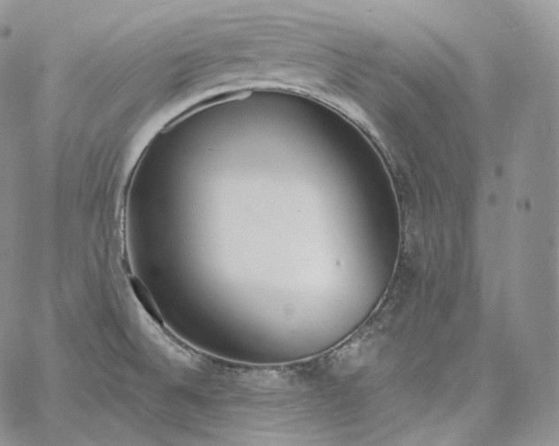 X0000060811524200511241923