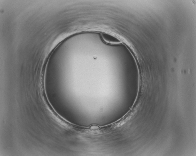 X0000060811525200511241923