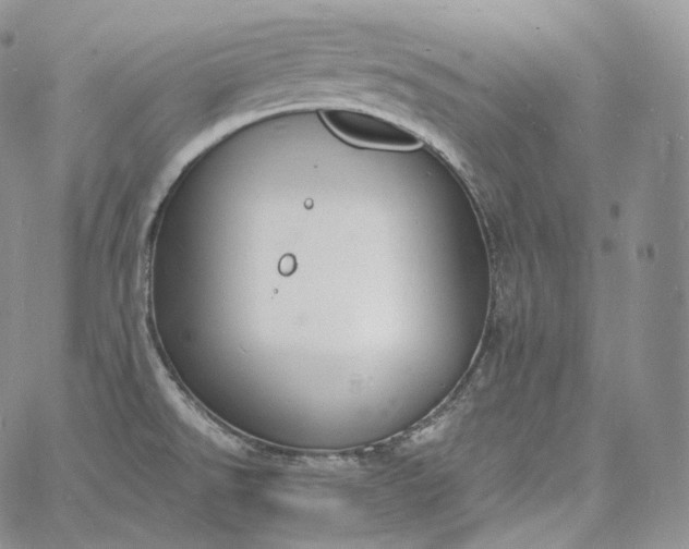 X0000060811526200511241923