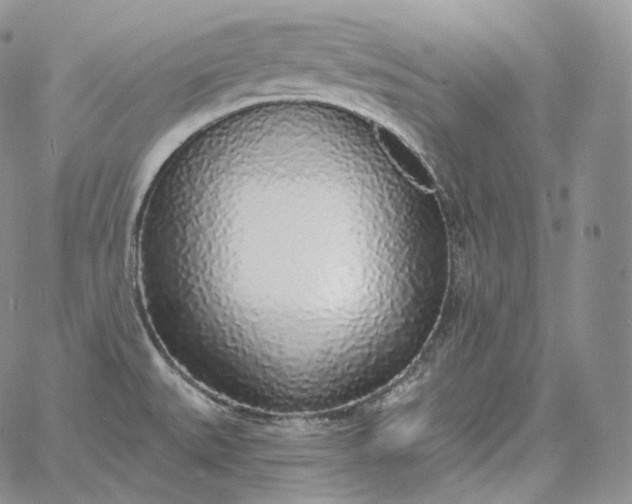 X0000060811527200511241923