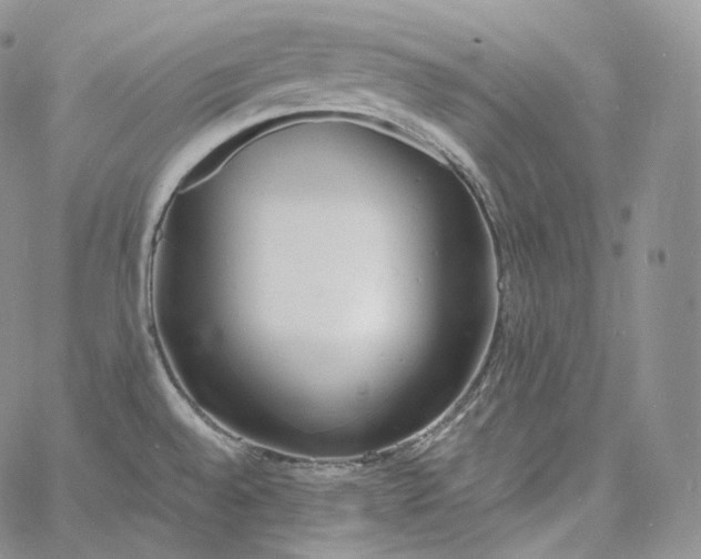 X0000060811528200511241923