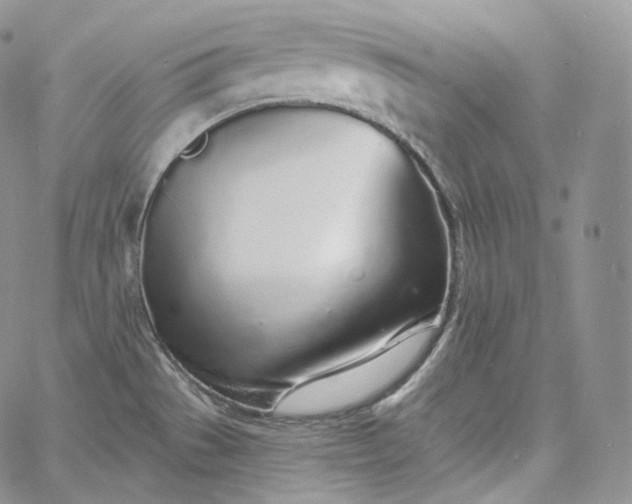 X0000060811529200511241923