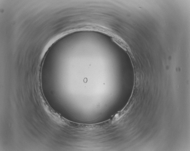 X0000060811530200511241923