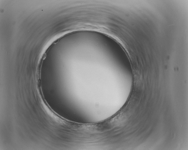 X0000060811531200511241923