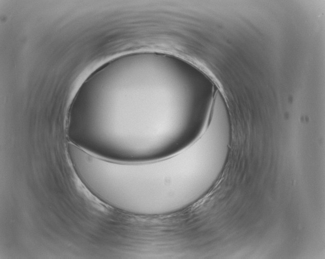 X0000060811532200511241923