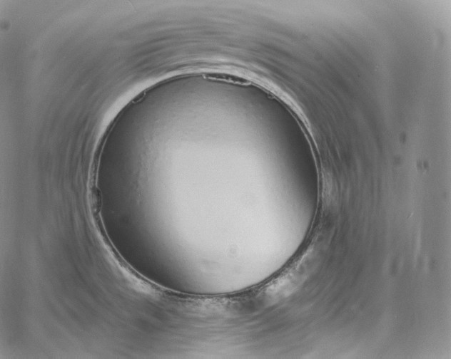 X0000060811533200511241923