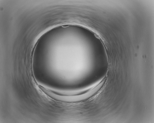 X0000060811534200511241923