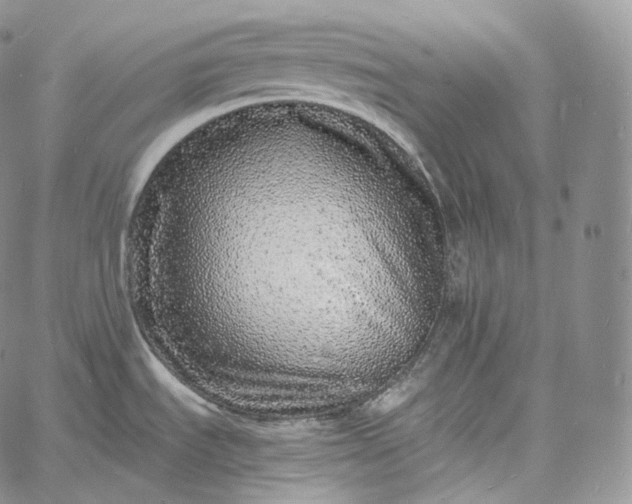 X0000060811535200511241923