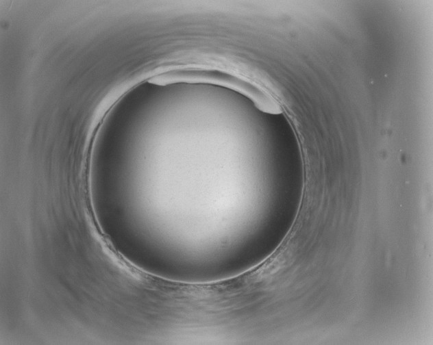 X0000060811536200511241923