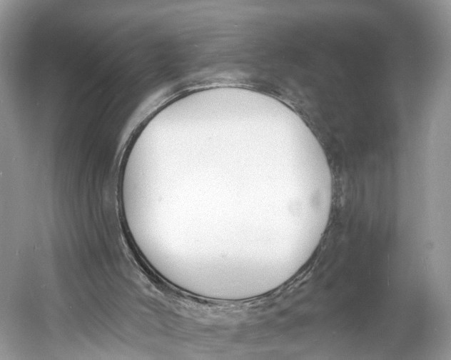 X0000060810004200512011812