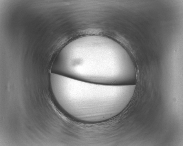 X0000060810013200512011812