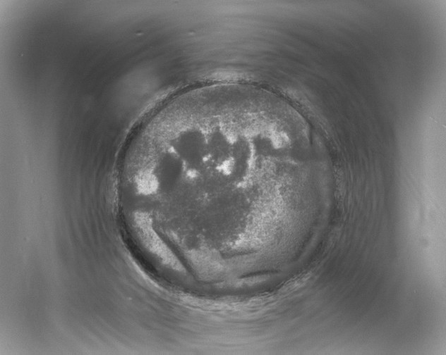 X0000060810016200512011812