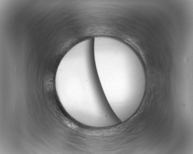 X0000060810017200512011812