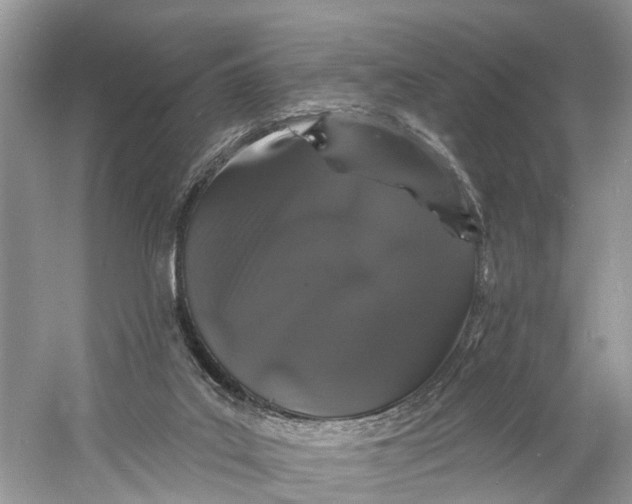 X0000060810019200512011812