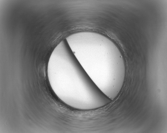 X0000060810021200512011812