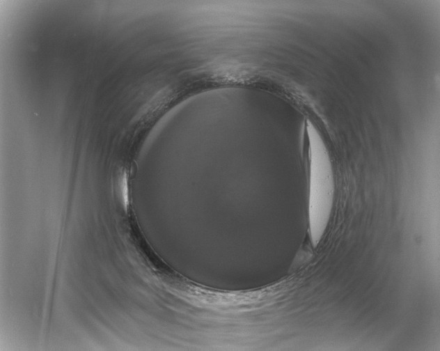 X0000060810027200512011812
